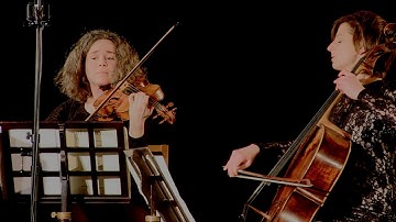 String Quartet No. 3 in D major, Op 18 No. 3: Andante con moto - Ludwig van Beethoven