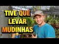 VLOGÃO: CHÁ de BEBÊ, PLANTINHAS, FAMÍLIA e AMIGOS reunidos | Henrique Buttler