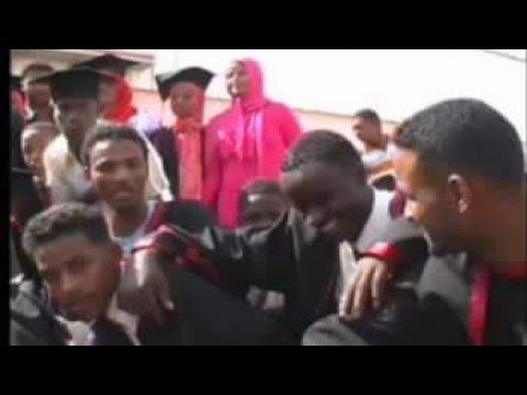 الاماني السندسية زرياب علي Zeryab Ali Sudanese Musical اغاني سودانية 
