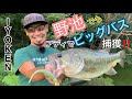 イヨケン☆岡山バス釣り出張！！やっぱり釣っちゃうイヨケンって凄い！？
