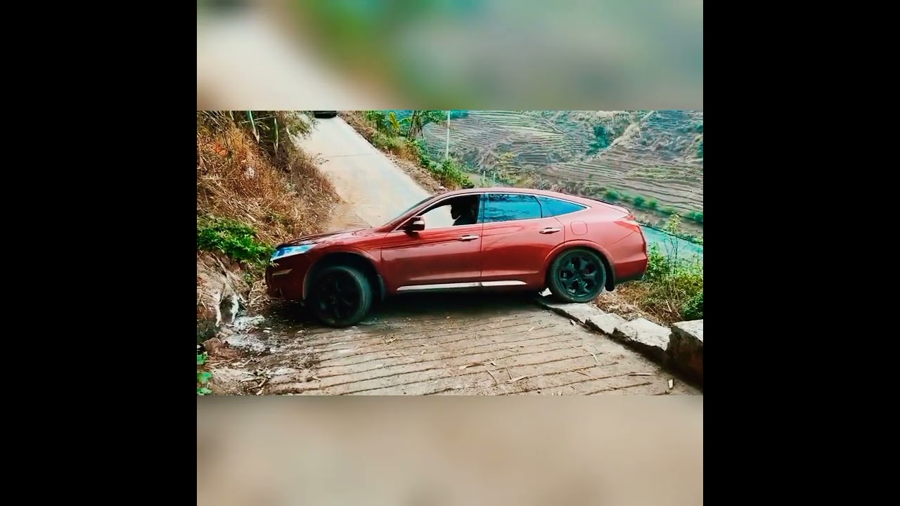 "Wow! The Ultimate Entertainment Surprise!"