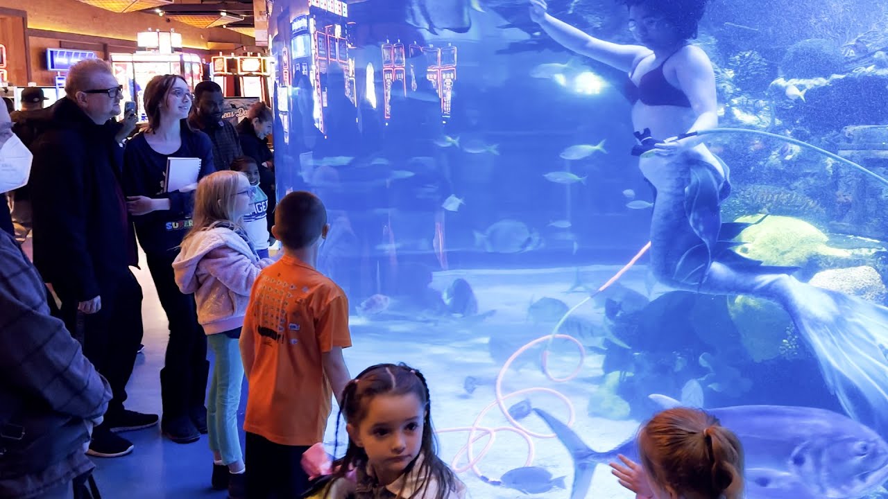 Silverton Hotel & Casino Las Vegas Nevada Aquarium Mermaid show Apple