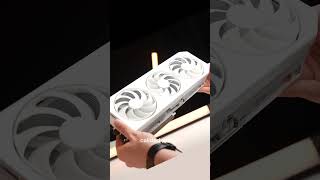 AMD Radeon o Nvidia? #gpu #nvidis #amd #radeon #pcgamer #pcgaming #gamer