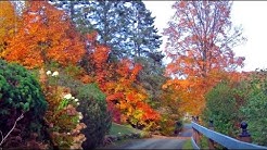 The Laurentians in Autumn, SAINT-SAUVEUR, Quebec, Canada