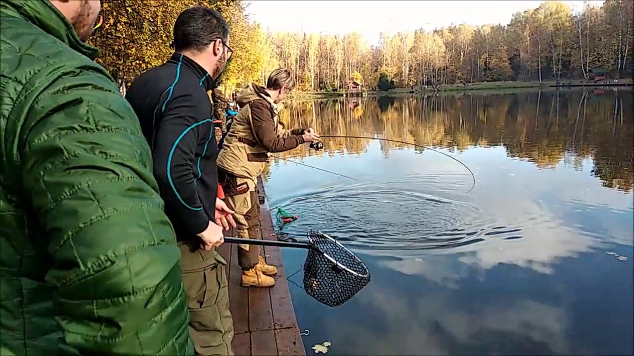 Клевым местам видео. Экономия места рыбалки. Сиг на платнике.