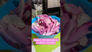 &amp; I LOVED THEM! @BlackForager #magnolia #magnoliaflowers #cookies #cookierecipe #foraging