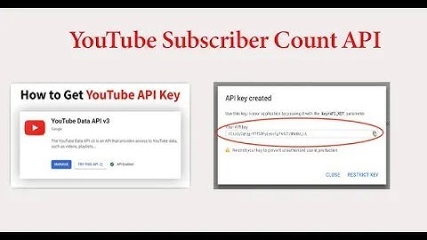 Youtube Data API V3 videos   YouTube Subscriber Count API Laravel   Get Youtube API Key