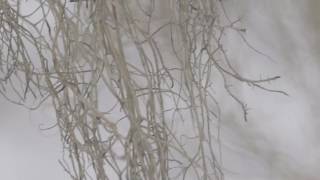 "Measure" by Kurt Hentschläger / APxART / AUDEMARS PIGUET – Audemars Piguet watch video
