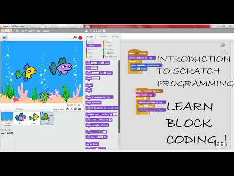 BASICS OF SCRATCH PROGRAMMING | INTRODUCTION TO SCRATCH | GAME CREATION ...