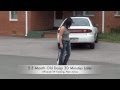 Daisy Before and After Video! Ecollar Training, New Jersey! DC, VA, MD, PA, NC Daisy Before and After Video! Ecollar Training, New Jersey! DC, VA, MD, PA, NC