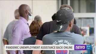 Arkansas' pandemic unemployment assistance system back online