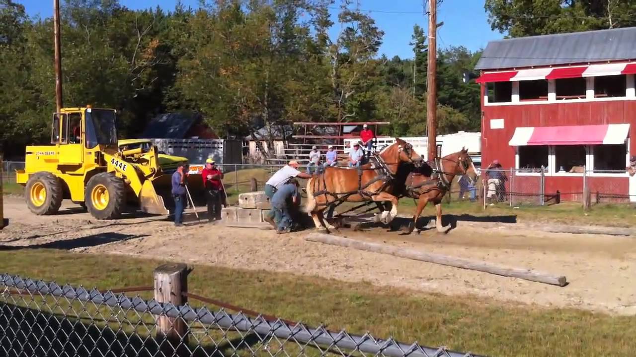 Bondville Fair Horse Pull 08/29/10 YouTube