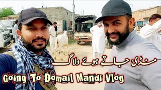Going To Domail Mandi Fateh Jang Today Vlog | Mandi Mela Vlog Resimi