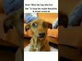 Dar Ke Aage Dogesh Hai #meme #dogesh #youtubeshorts