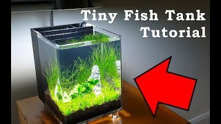 Tiny Fish Tank Tutorial | Low Budget Aquarium Build