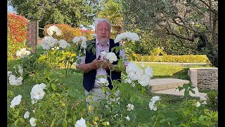 ENTRETIEN ET SOINS DES ROSIERS EN ÉTÉ (émission Jardiner, ça fait du bien ! N°4)