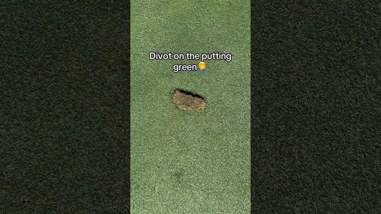 What should his punishment be? #golf #golfer #golfcourse #satisfying #repair #grass #fix #diy #howto