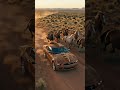 🚗🐾 Los autos también tienen sus therian 🐾🚗