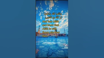 Surah Al Baqarah verses 194-195, Maher Al-Muaiqly تلاوة  خاشعة من سورة البقرة  القارئ ماهر المعيقلي