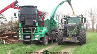 Jenz Cobra - Fendt - Tebbs / Holz Hacken - Chopping Wood  2022