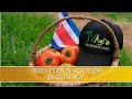 Produccion de Hortalizas en Costa Rica - TvAgro por Juan Gonzalo Angel Restrepo