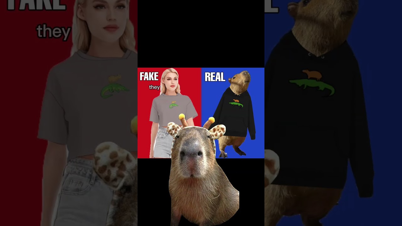 My Capybara video and design got stolen #capybara #shorts