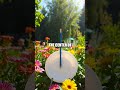 Creating Shadows and Light - Exploring the Science of Sundials