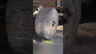 Sümerlerin En Önemli 5 İcadı