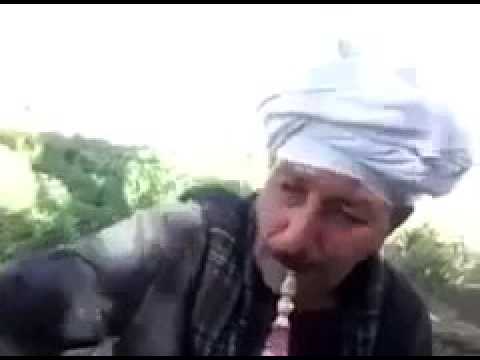 صعيدي محشش