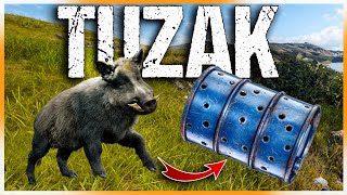 BU TAKTİK İLE ÇOK RAHAT HAYVAN AVLAYABİLİRSİN ! | theHunter:Call of the Wild