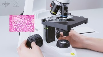 Swift Stellar 1 Pro  with EP5R digital eyepiece camera and Swiftcam camera