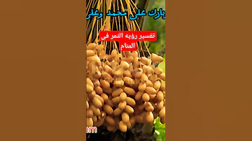 تفسير رؤيه التمر فى المنام تفسير الأحلام المختصر تفسير الأحلام 