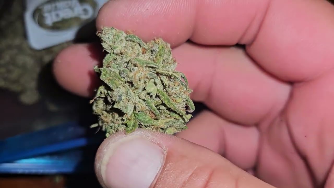 indoor 5x5 tent Marshydro fce 8000  800watt led  organic dank