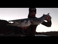 Spearfishing muletsardoradebarracuda chasse 100 indienne team sigalsub corsica