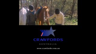 Ytv X2Crawfords Auprotocol Entca Tax Creditca Tv Fundeatondiscovery Kidsabc Au, 2002