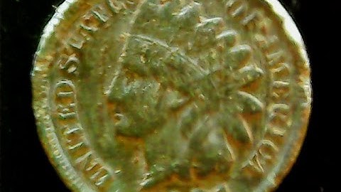 MINELAB X TERRA 70 HUNT