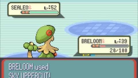 Pokémon Ruby - Part 61 (VS. Elite Four Glacia)