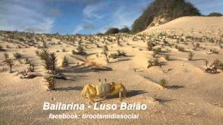 Bailarina - Luso Baião