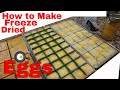 Freeze Dried Eggs-- Fried eggs, Scrambled Eggs, Hard Boiled Eggs