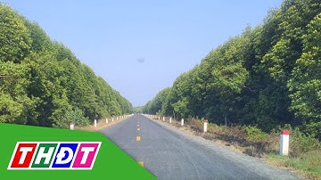 Cao tốc Cà Mau - Đất Mũi: Cú huých cho vùng đất Cực Nam | THDT