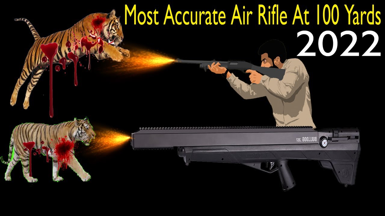 Top 5 Best Most Accurate Air Rifle At 100 Yards 2022 YouTube