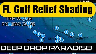 Navionics Relief Shading Explained - Florida Gulf Deep Drop Spots in Depth Analysis screenshot 3