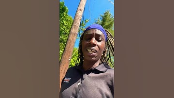 Thumbnail of Young Ni$$@s, why do y’all gangbang? #mentor #motivation #prison #fighting #blackexcellence