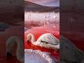 The Deadly Lake In Tanzania That Literally Turns Animals Into Stone