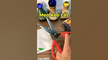 Hướng dẫn cách mài kéo nhanh #diy #tamnht #trick #keocat #Shorts