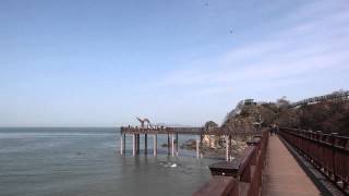 Walking on the Daebudo(island) KOREA 대부도를 걷다 Seoul Community Rehabilitation Center