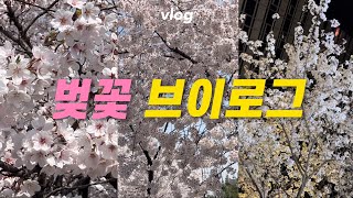 [vlog] 봄맞이 봄소풍 겸 서울 나들이 소소한 일상 브이로그🌸