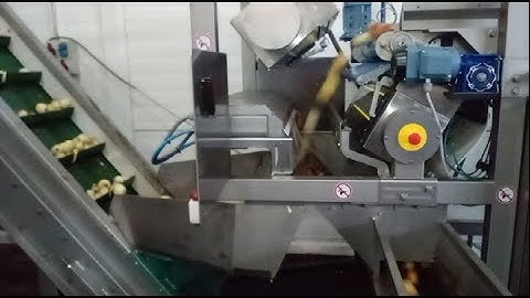 Raynbow sorting peeled onions | Raytec Vision
