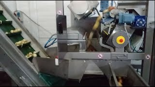 Raynbow sorting peeled onions | RAYTEC VISION SpA