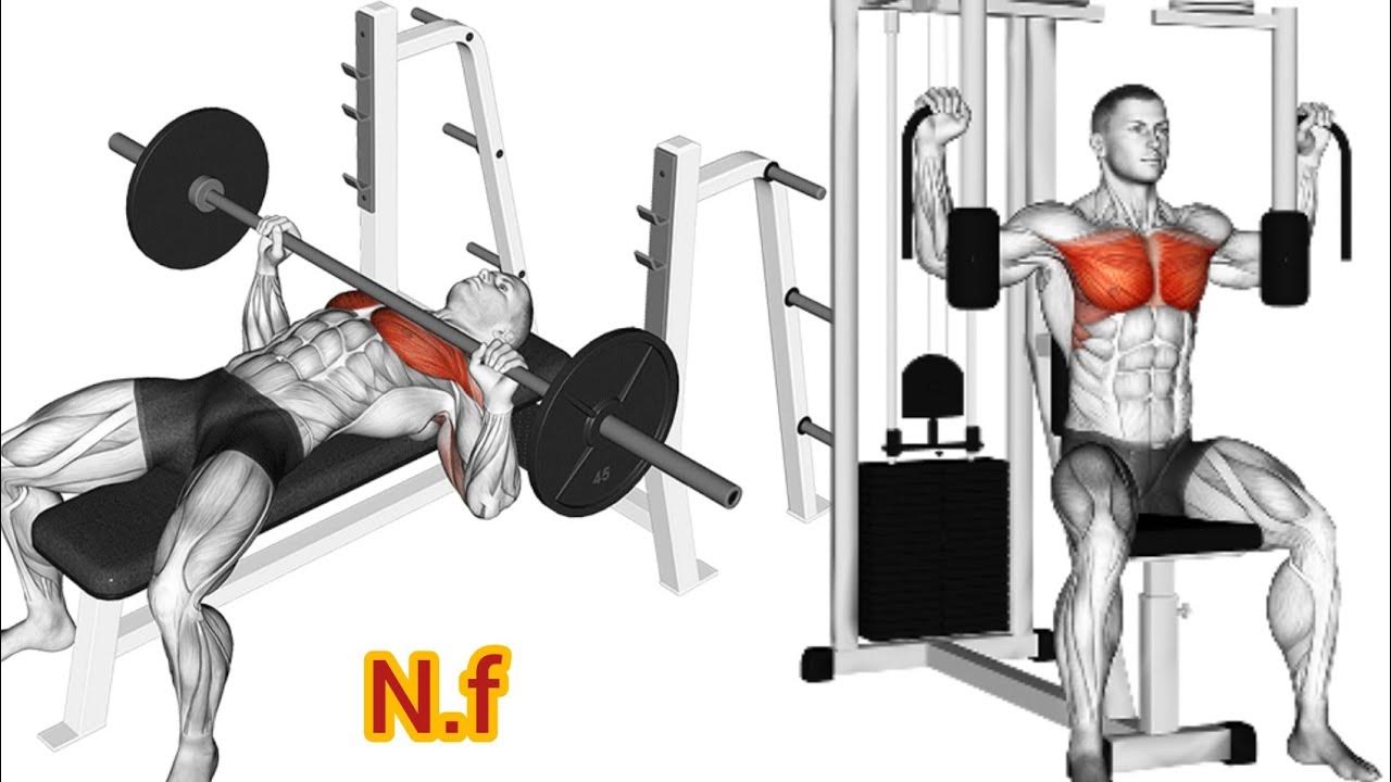 Chest workout Barbell vs. Dumbbell Bench Press at gym,home(Inner chest, Lower,middle chest